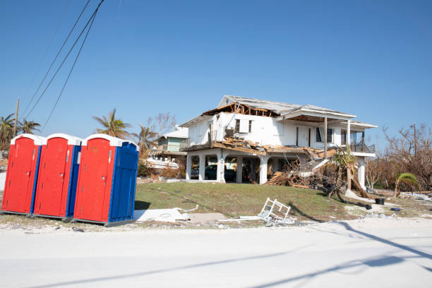 Best Tree Risk Assessment  in Roselle, NJ